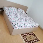 Apartament Zorelelor