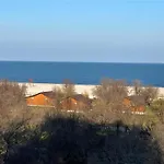 Zeita Din Bel-Air, Mamaia Nord