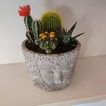 Casa Zen