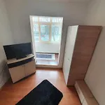 Apartament Parter 3 Strada Rozelor