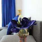 Zenity Residence Star