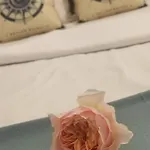 Tria Nera House- Pure Joy