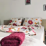 Vila Steaua