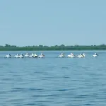 Gorgova Delta Village