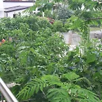 Casa Cora