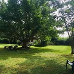 Wayando Beach Eco Lodge