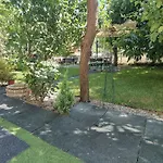 Seanest Mangalia