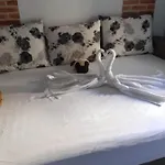 Casandra