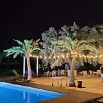 Vennesy-Endless Summer Apartaments