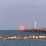 Apartament Vacanta