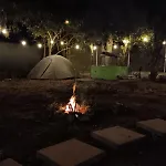 Camping Curtea Pescarusului