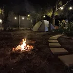 Camping Curtea Pescarusului