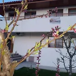 Pestele Ca Odinioara