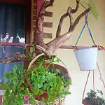 Casa Cristian