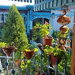 Casa De Vacanta Puiu