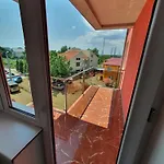 Steluta