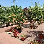Casa Doina