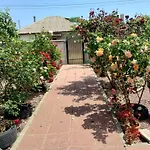 Casa Doina