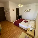 Vila Andreea