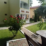 Ana Avrig