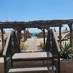 Ana Studio