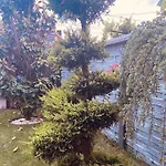 Vila Iulia