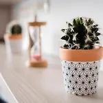 Sea-Cozy Apartment Mamaia