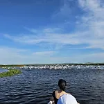 La Belle Mouette