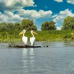 Pensiunea Taisia