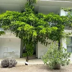 Casa De Mare