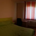 Apartament Raul