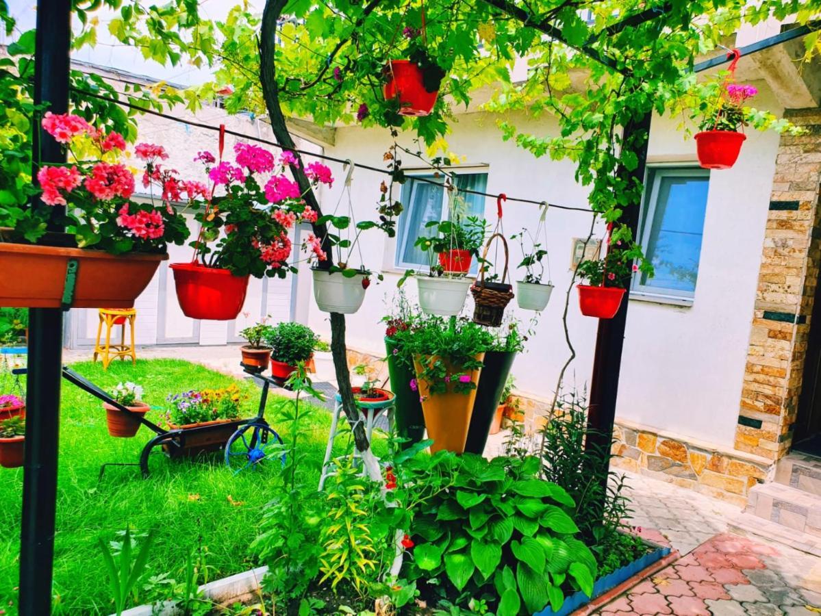Casa Razvan Guest house