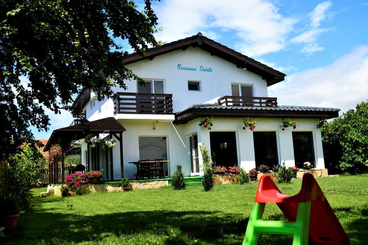 Pensiunea Codalb Gasthof Jurilovca