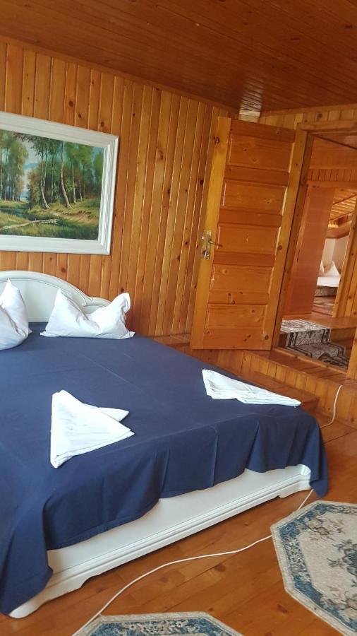 Cazare De Vis Guest house Douazeci si Trei August