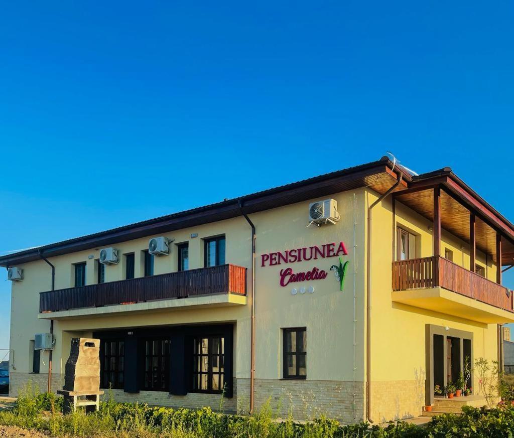 Guest house Pensiunea Camelia *