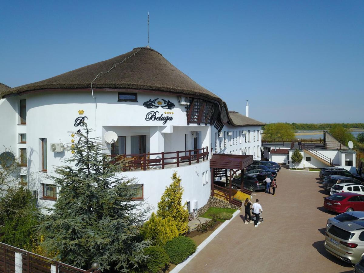 Pensiunea Beluga Guest house Murighiol