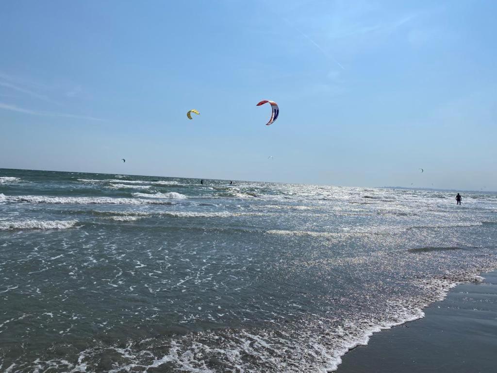 Emi Mamaia Năvodari