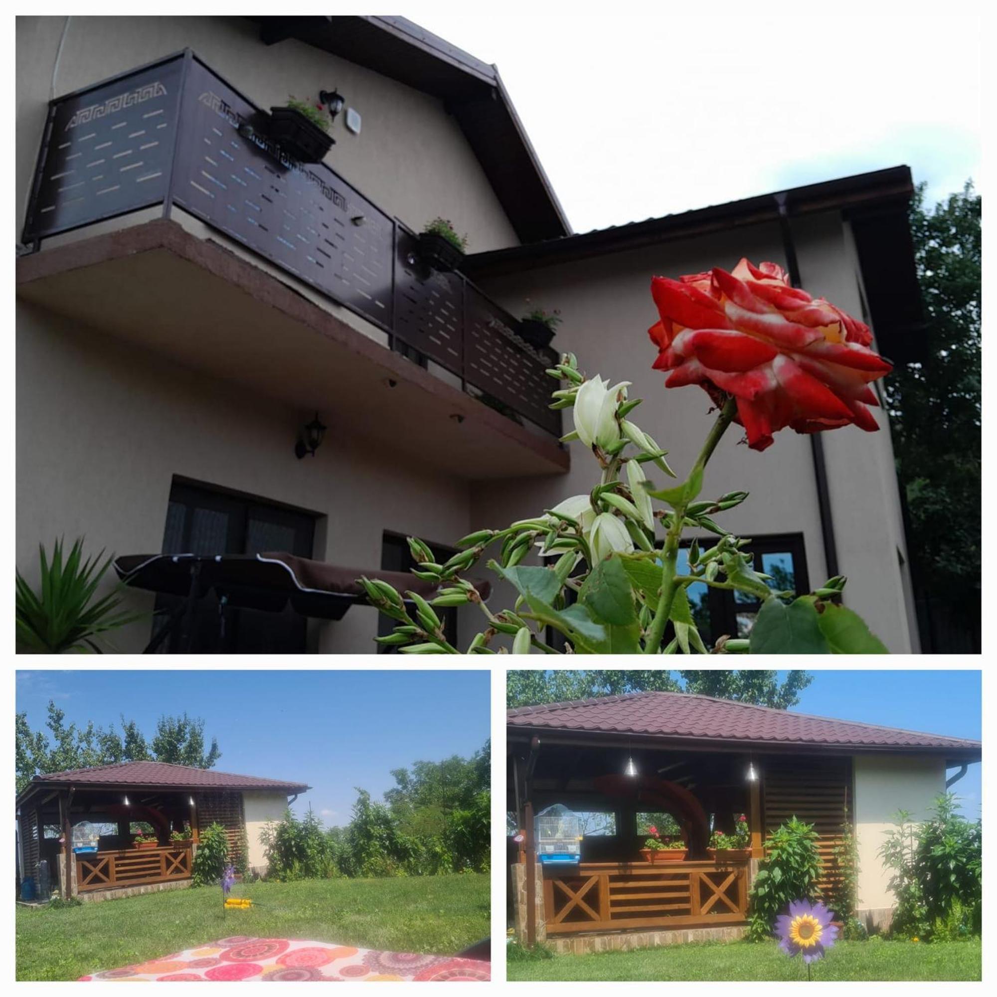 Piatra Rosie Pensiune Agroturistica