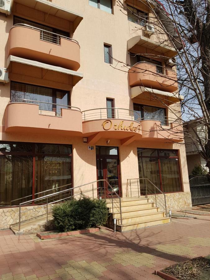 Vila Orhidee Pensjonat *