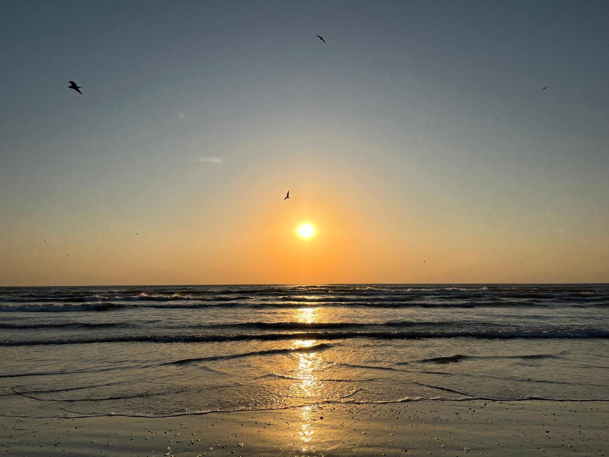 Excelsior Mamaia Nord Aparthotel