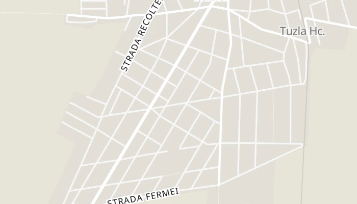 Térkép