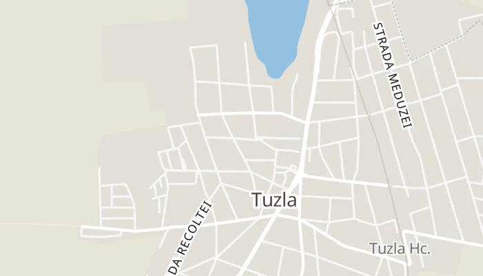 Térkép