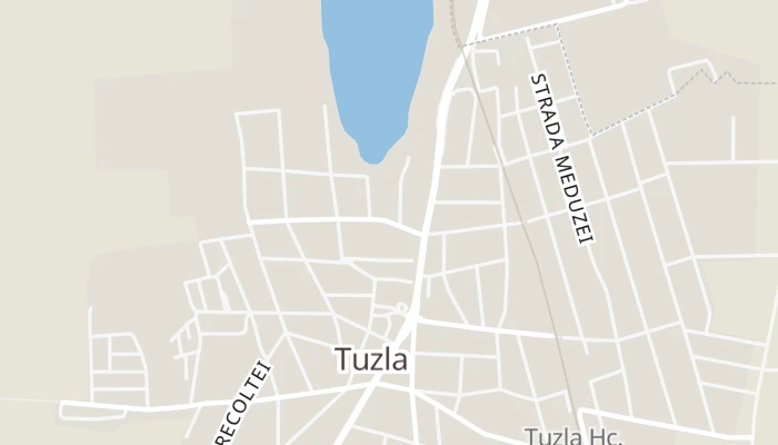Térkép