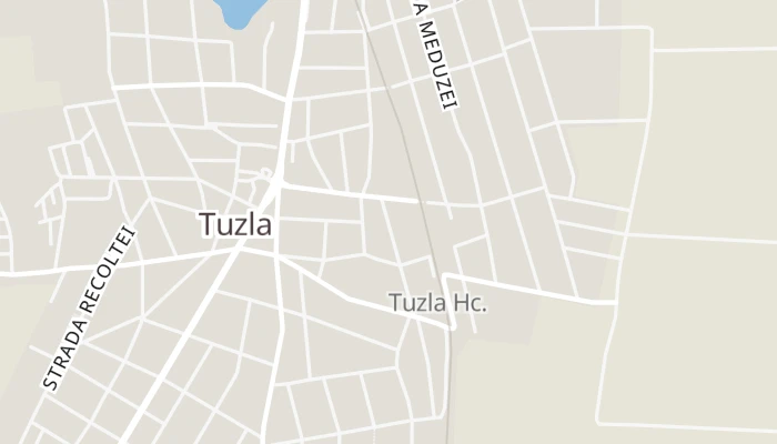 Térkép
