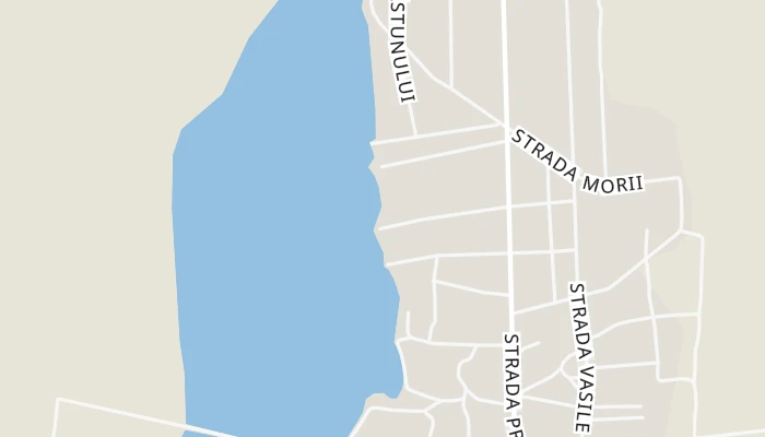 Térkép