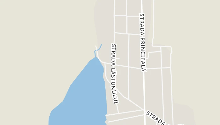 Térkép