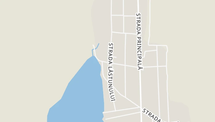 Térkép