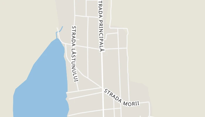 Térkép