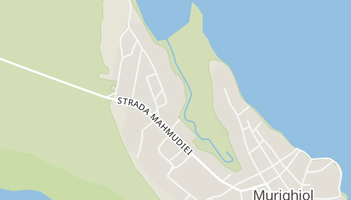 Térkép